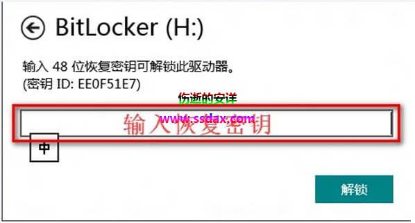 Win8 忘记BitLocker密码的解决办法