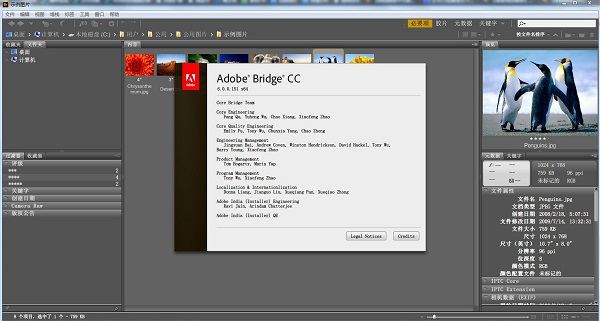 Adobe Bridge CC 6.1简体中文版下载【附注册机】