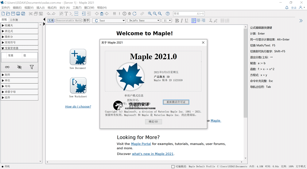 Maplesoft Maple 2021.2 破解版下载【Win+Linux】