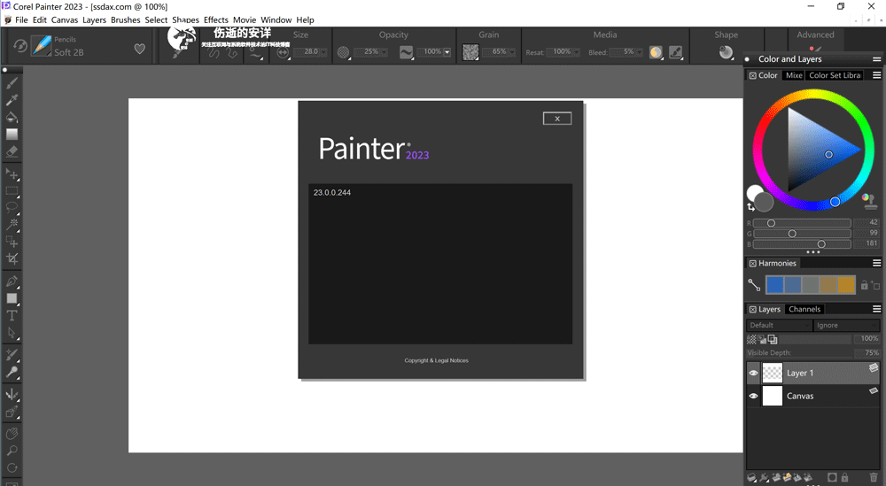 Corel Painter 2023 v23.0.0.244 中文破解版下载