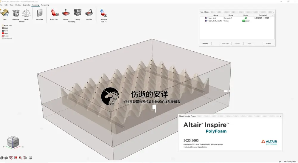 Altair Inspire PolyFoam 2023.0 破解版下载