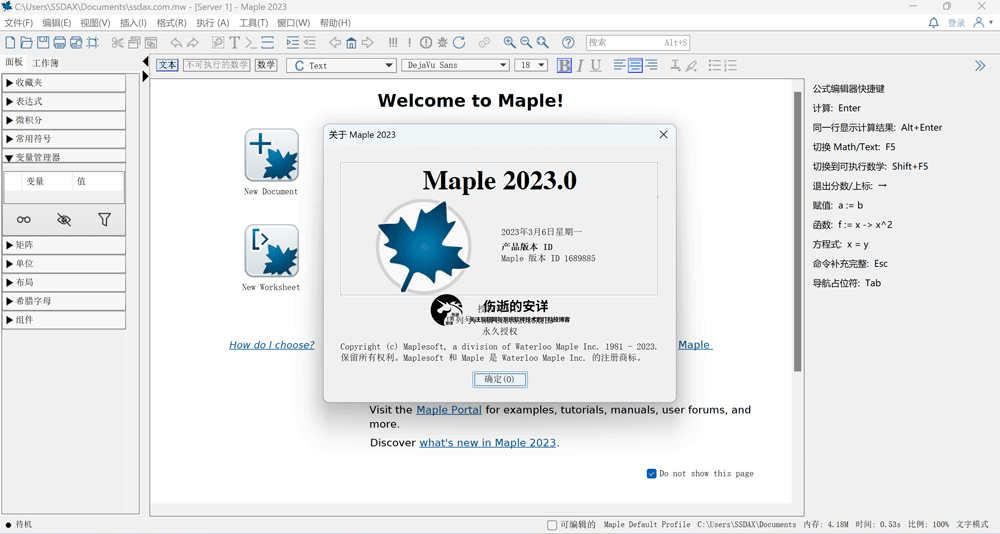 Maplesoft Maple 2023.1 破解版下载【Win+Linux】