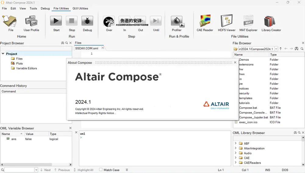 Altair Compose 2024.1 破解版下载