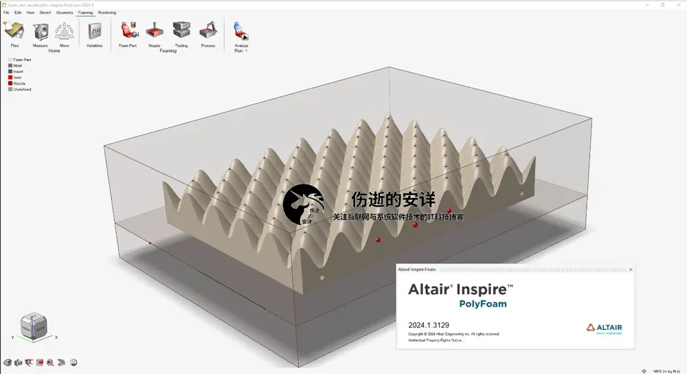 Altair Inspire PolyFoam 2024.1 破解版下载