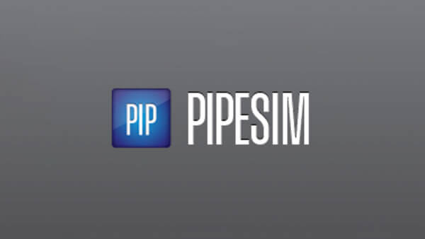 Schlumberger PIPESIM 2022.2.809 破解版下载